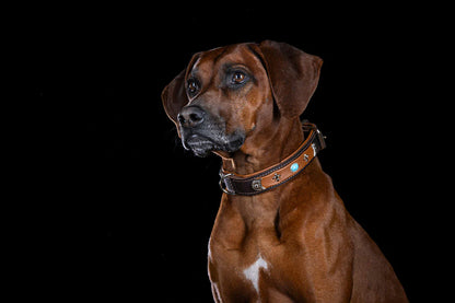 Halsband Toronto - Cognac/Goldfarben