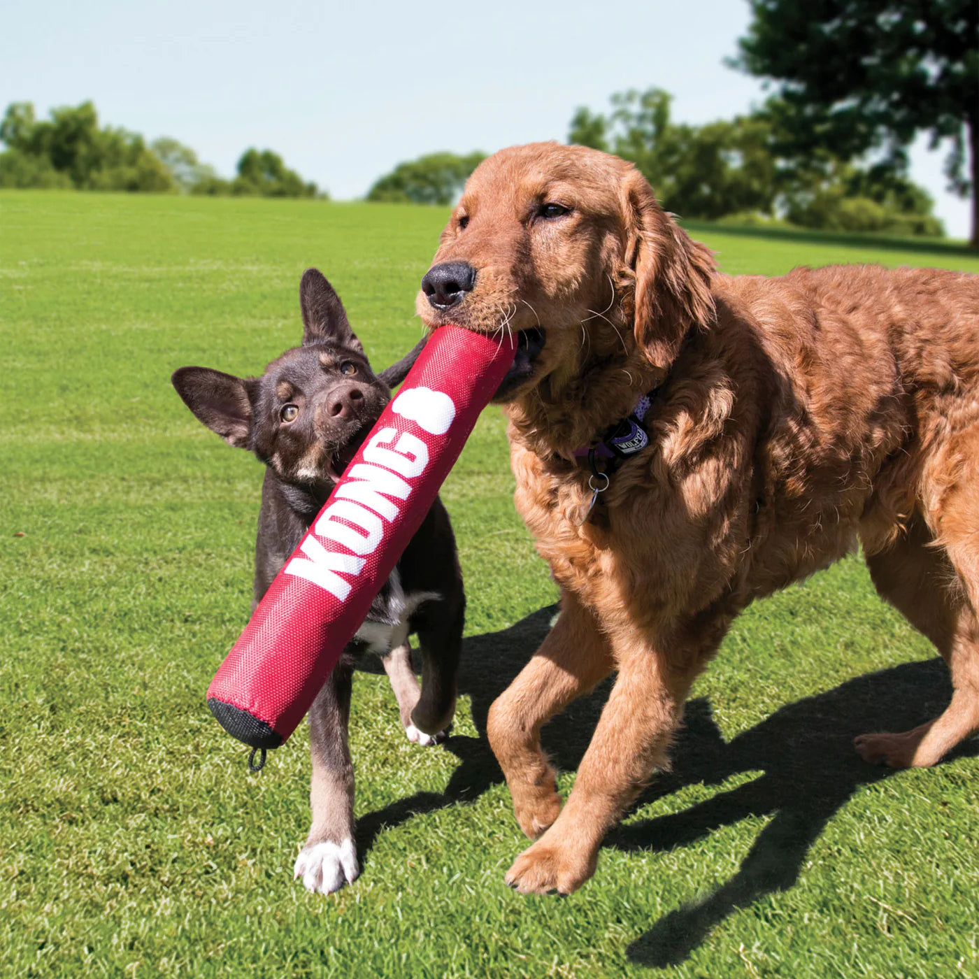 Hundespielzeug Signature Stick 45cm
