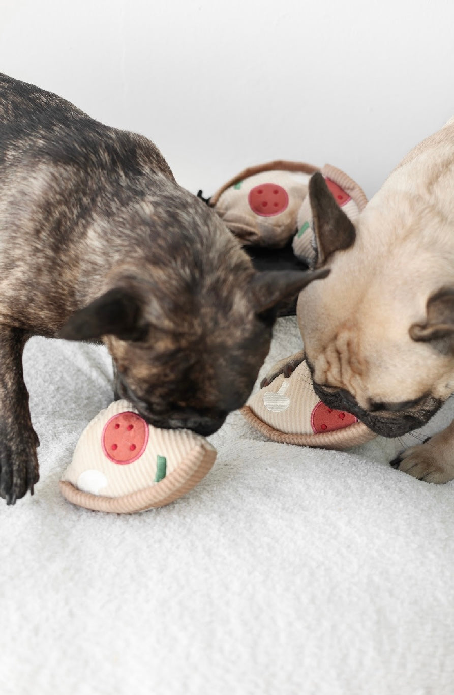 Hundespielzeug Pizza