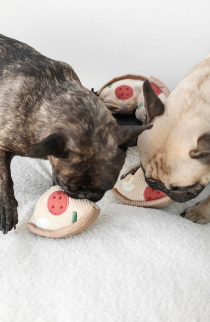 Hundespielzeug Pizza