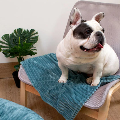 Hundedecke - Supersoft Hyg | Wasser Grün