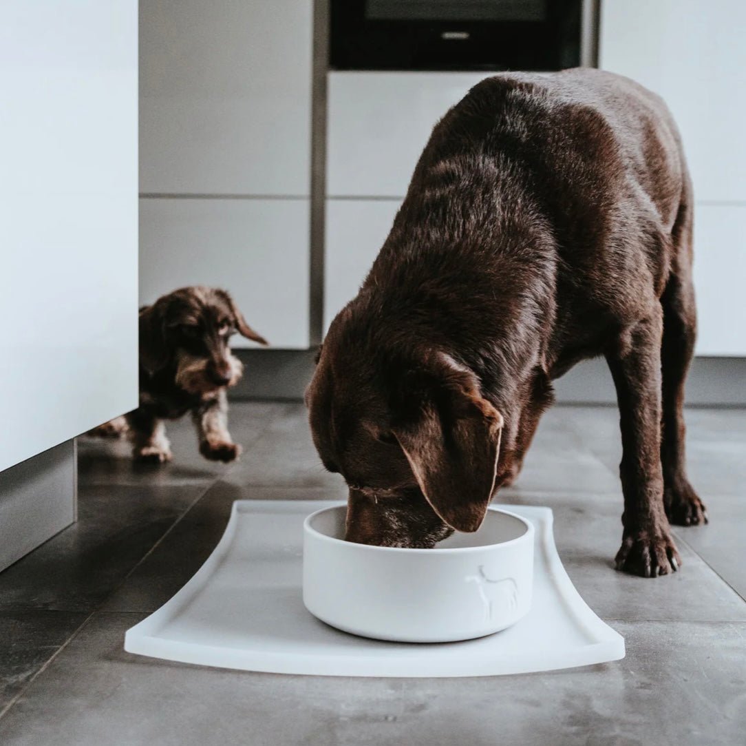 Napfunterlage Selection Silikon transparent