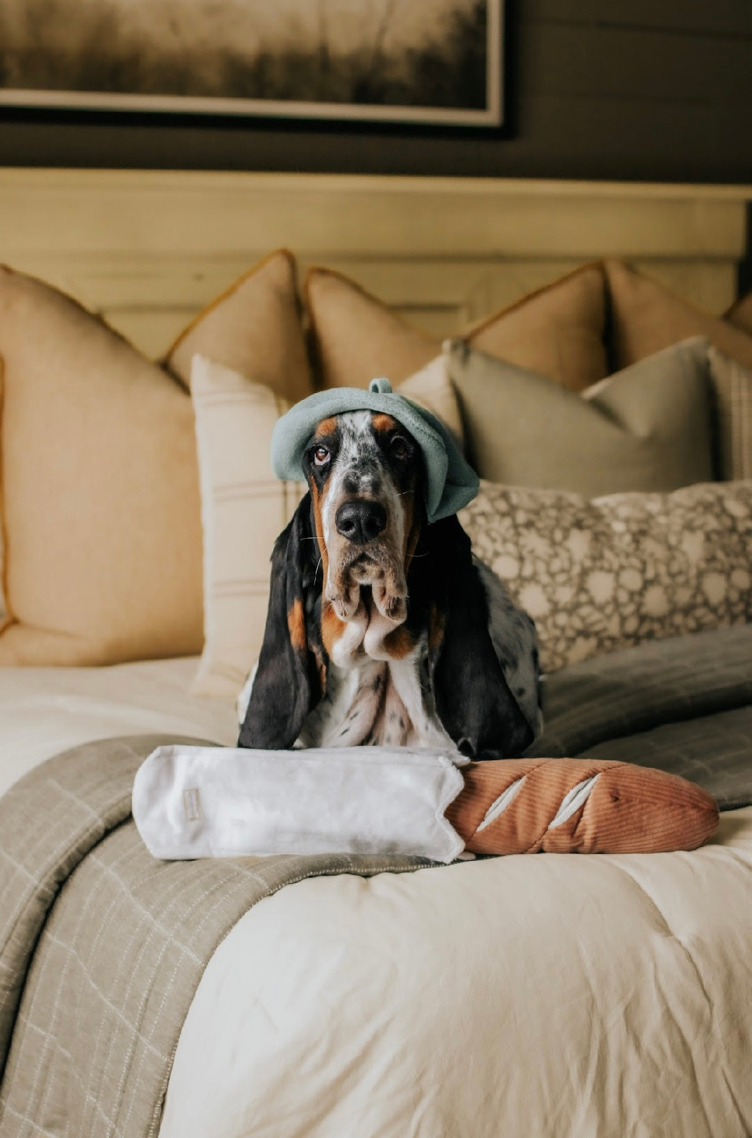 Hundespielzeug Baguette