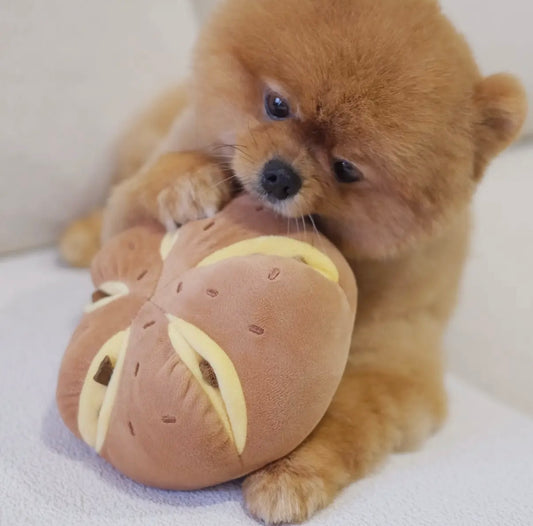 Käsebrot Nasenarbeit Spielzeug