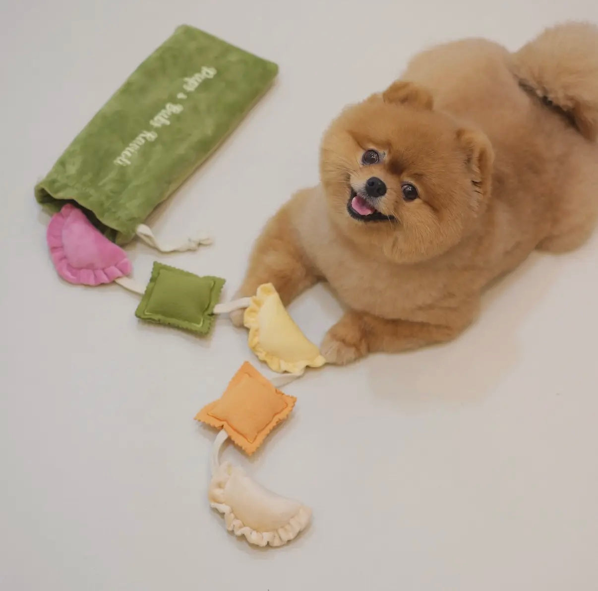 Ravioli Nasenarbeit Spielzeug