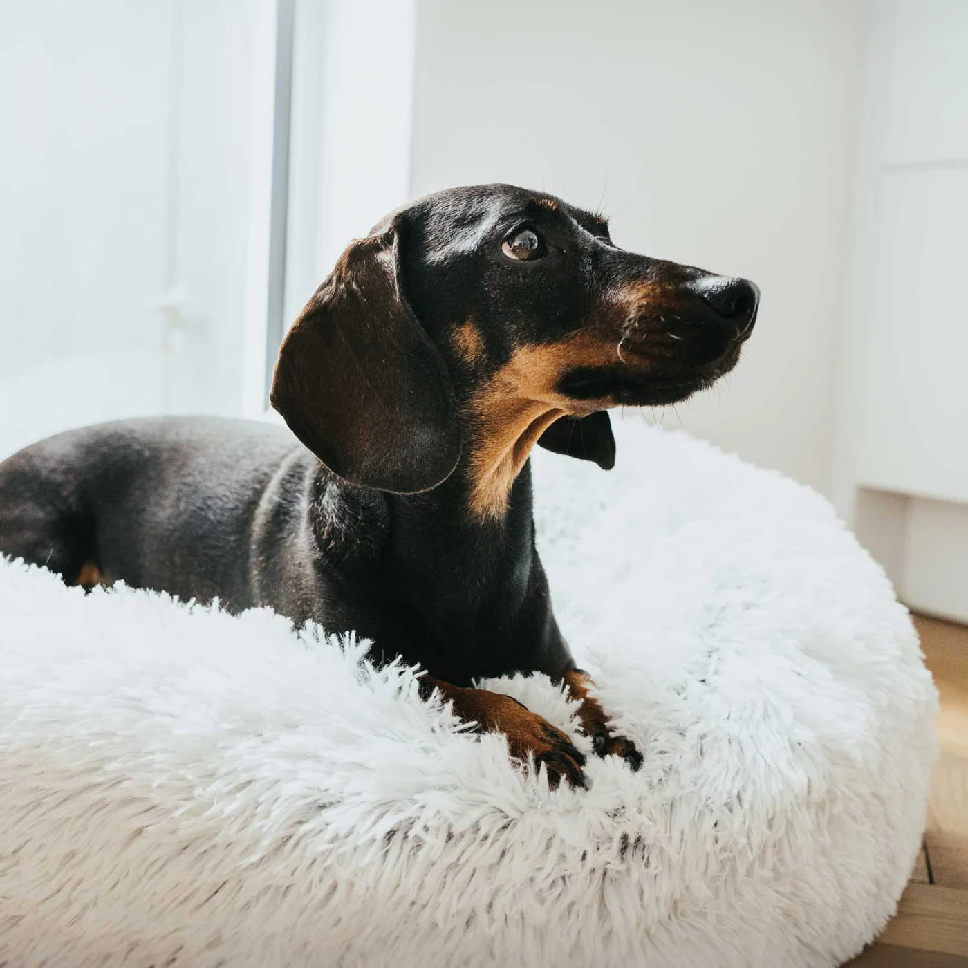 Hundebett Donut Loppa weiß