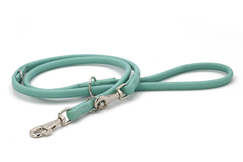 Lederleine rundgenäht Sunrise - Mint/2 m