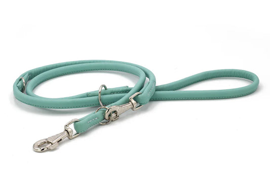 Lederleine rundgenäht Sunrise - Mint/2 m