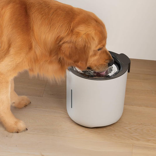 Oasis Fountain, Grau