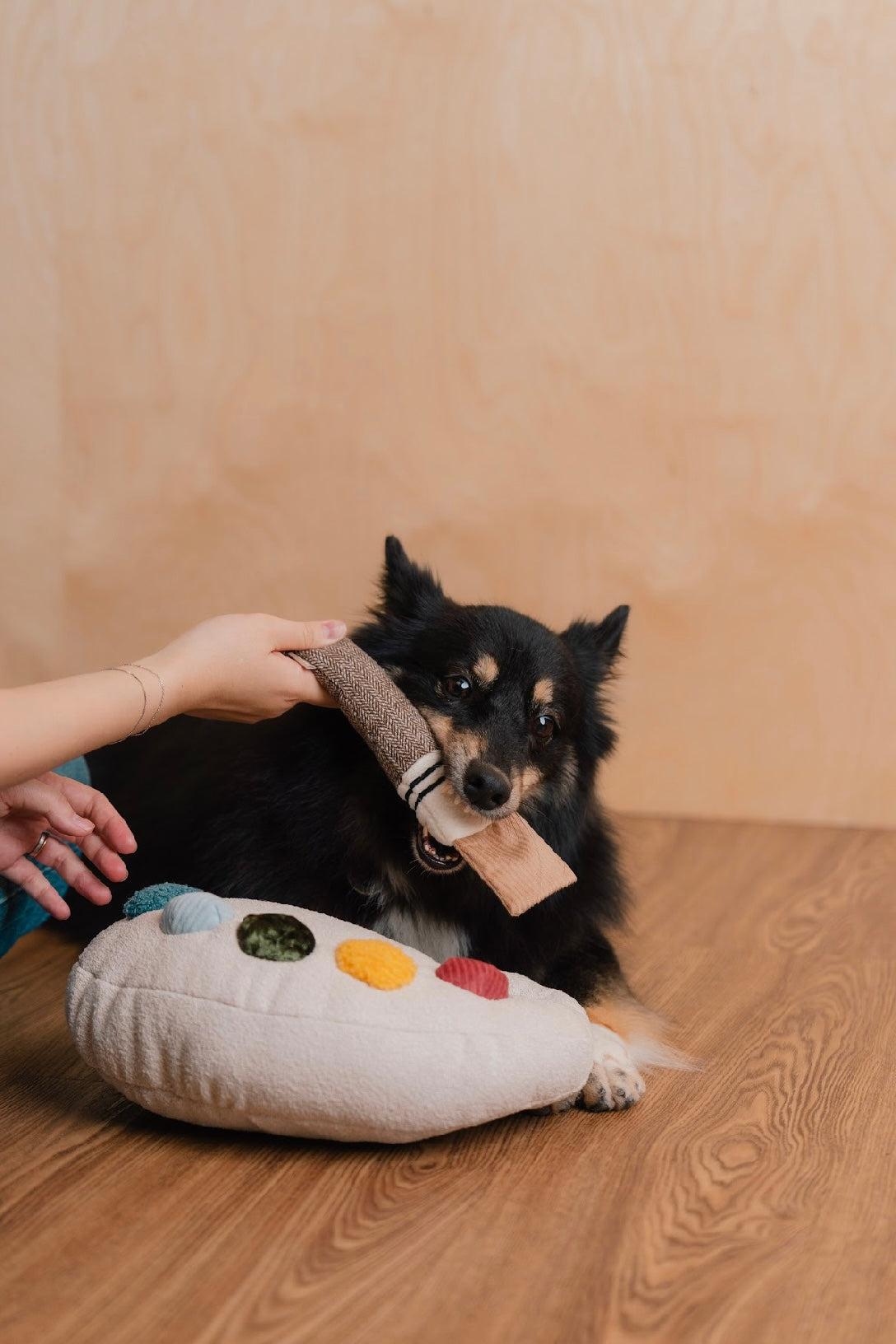 Hundespielzeug Farbpaletten-Set