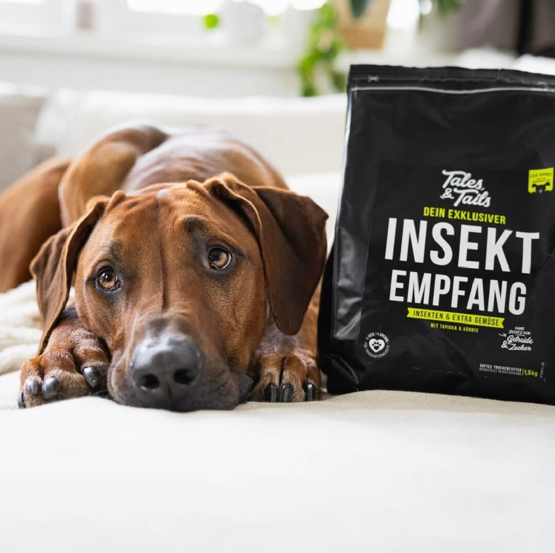 Tales & Tails Adult Soft Insekten