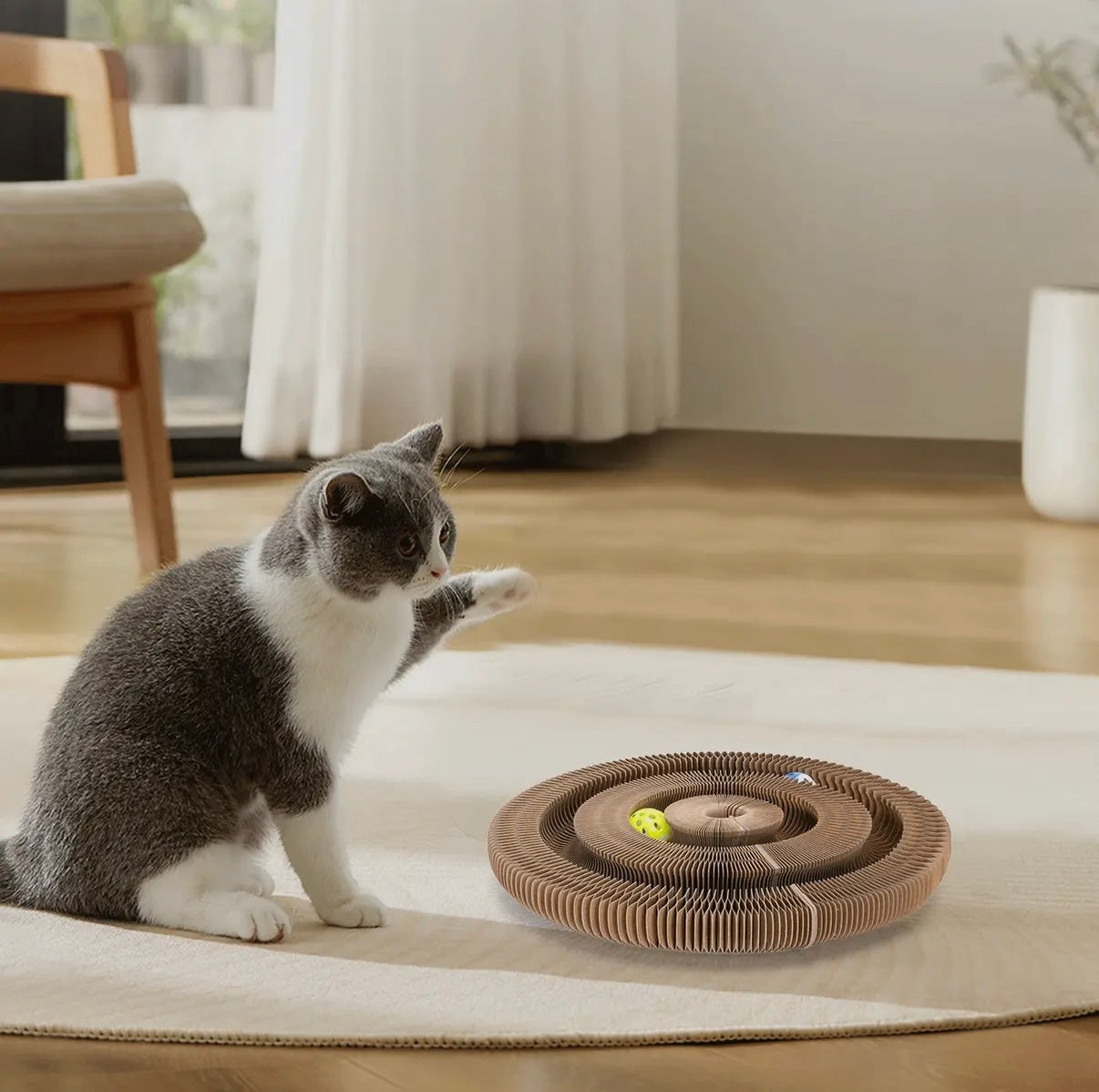 Multifunktionales Kratzbrett