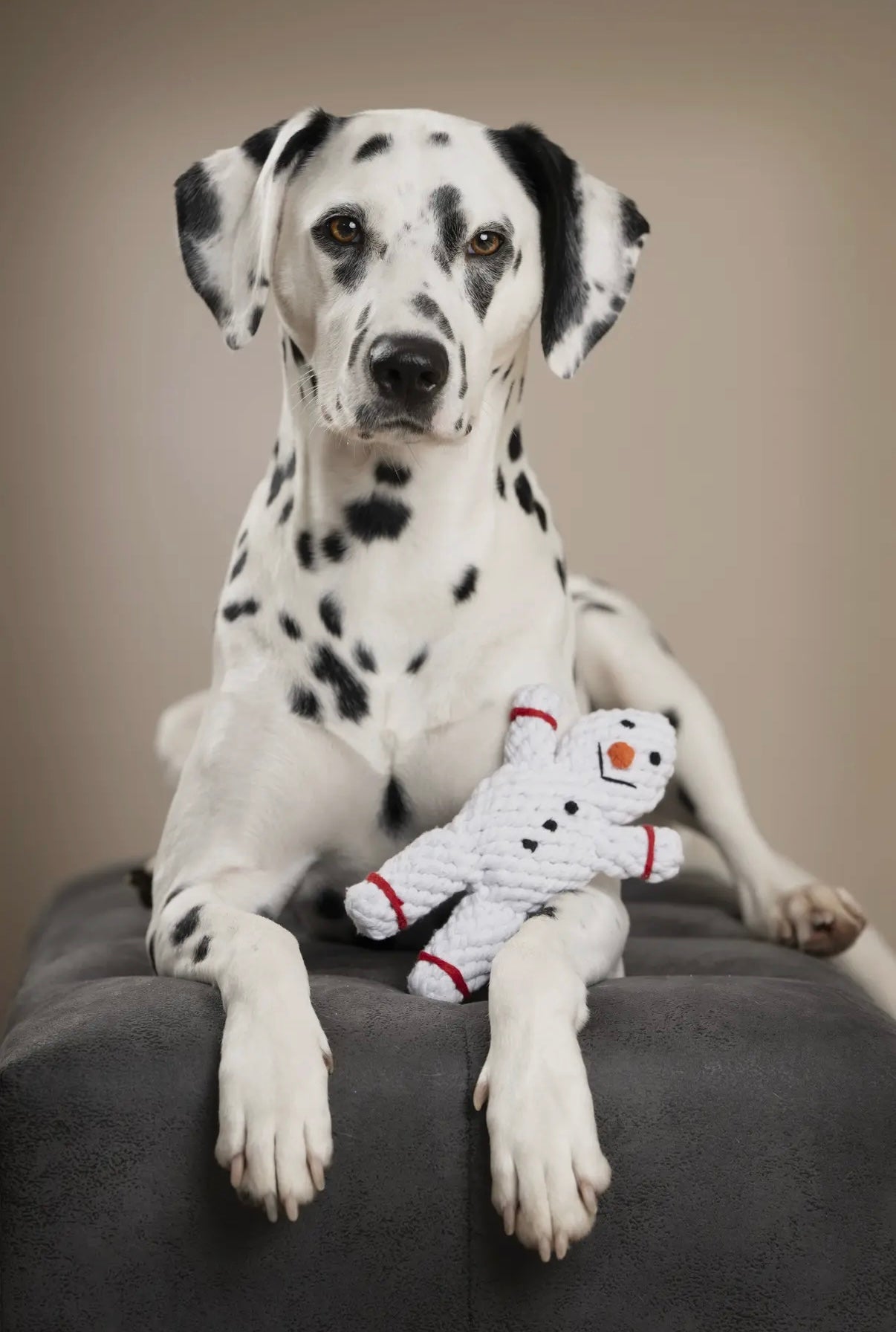 Shawn der Schneemann