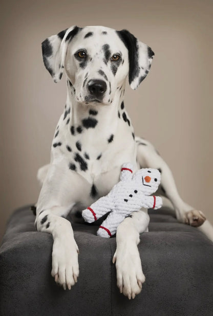 Shawn der Schneemann