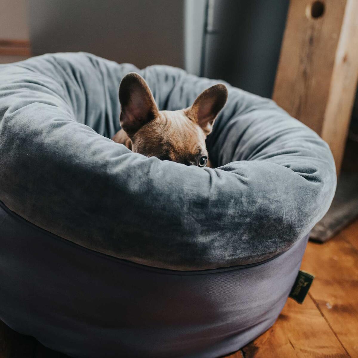 Bett Hund/Katze Miranda Polyester anthrazit