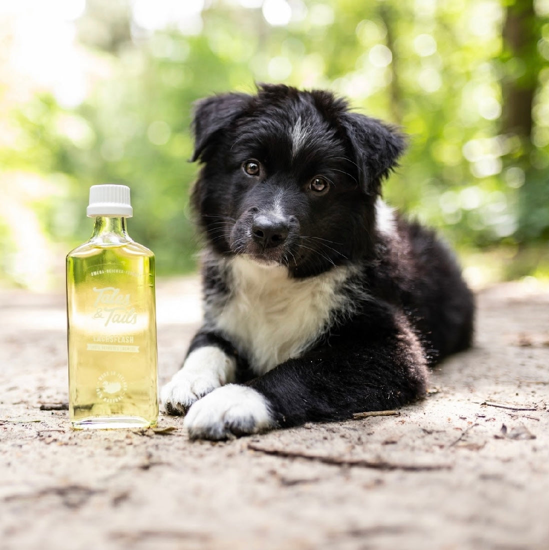 Tales & Tails Lachsöl 240ml