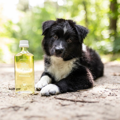 Tales & Tails Lachsöl 240ml