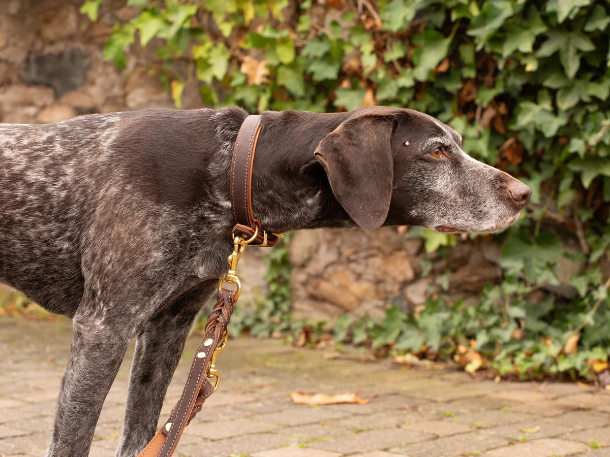 Halsband Klassik Premium Soft - Cognac/Goldfarben