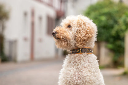 Halsband Sahara - Sand