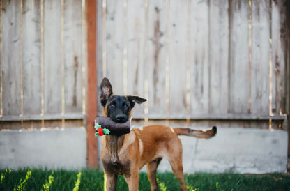 Hundespielzeug Weihnachtsbaumstamm