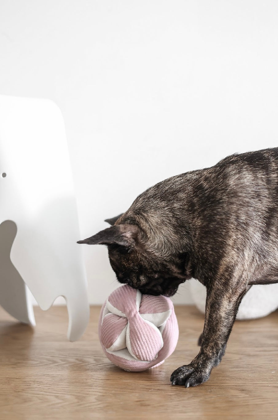 Hundespielzeug Monti