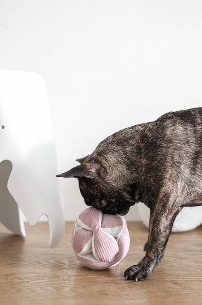 Hundespielzeug Monti