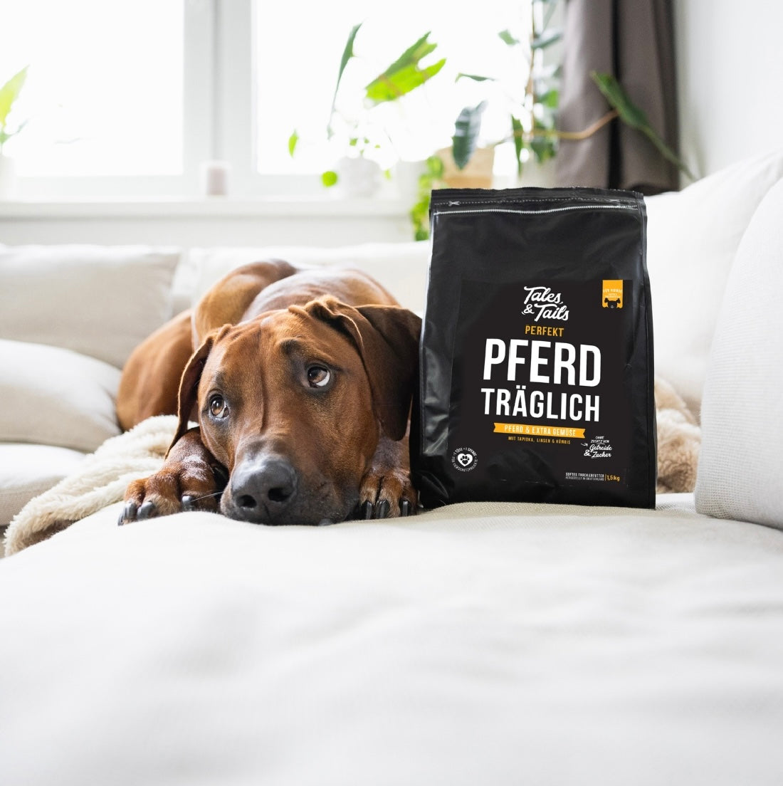 Tales & Tails Adult Soft Pferd