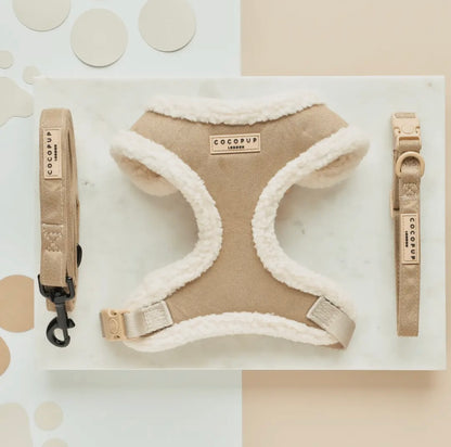 Geschirr- Nude Aviator