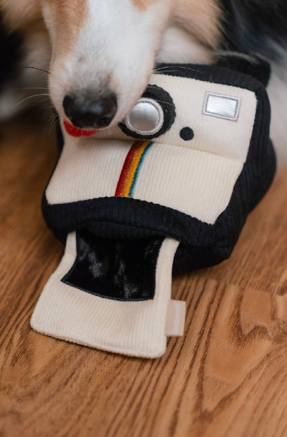 Hundespielzeug Kamera