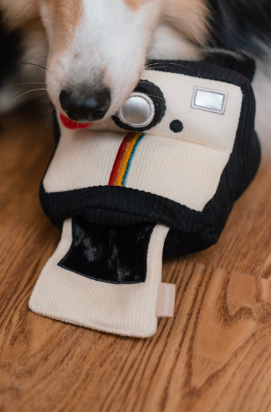 Hundespielzeug Kamera