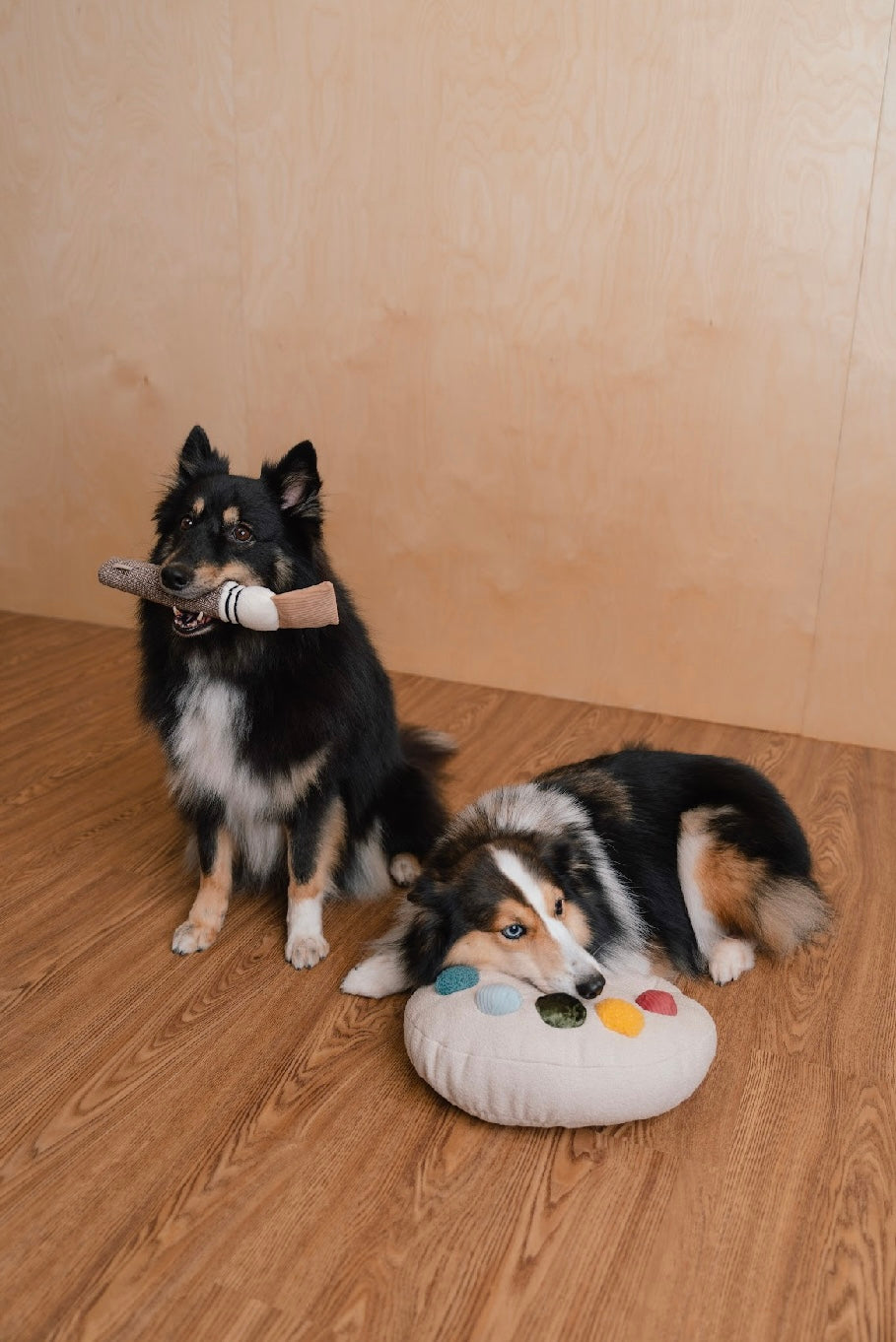 Hundespielzeug Farbpaletten-Set