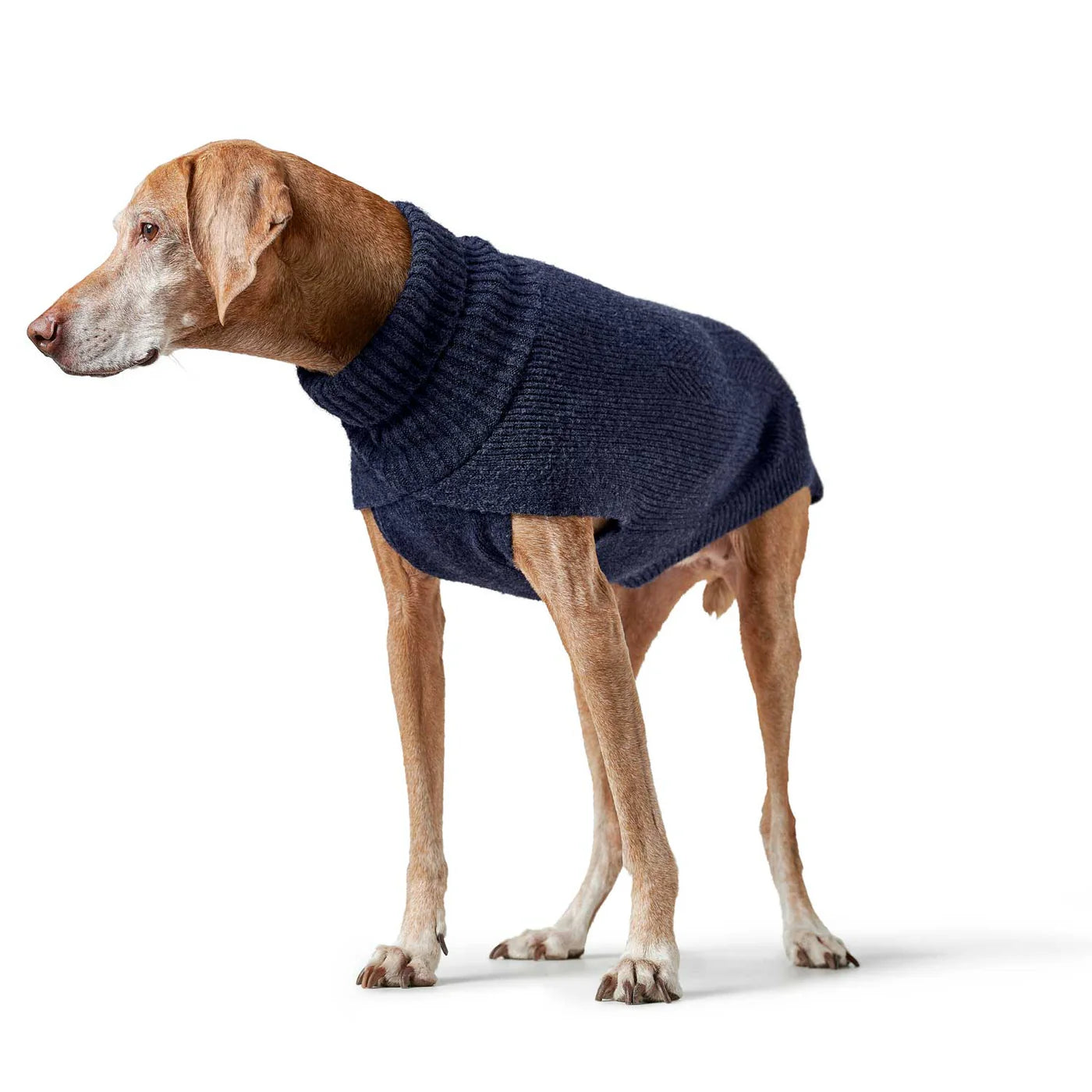Hundepullover Genf dunkelblau