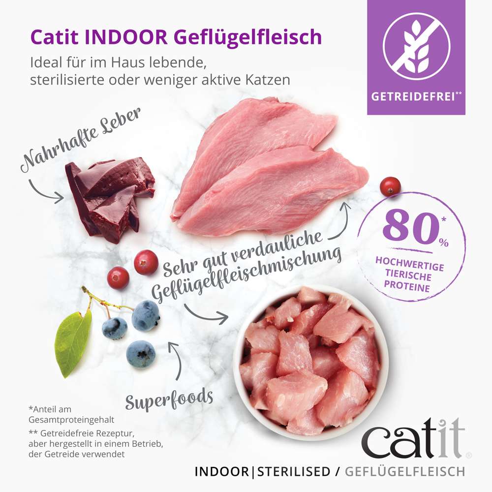 Catit Recipes Adult Indoor