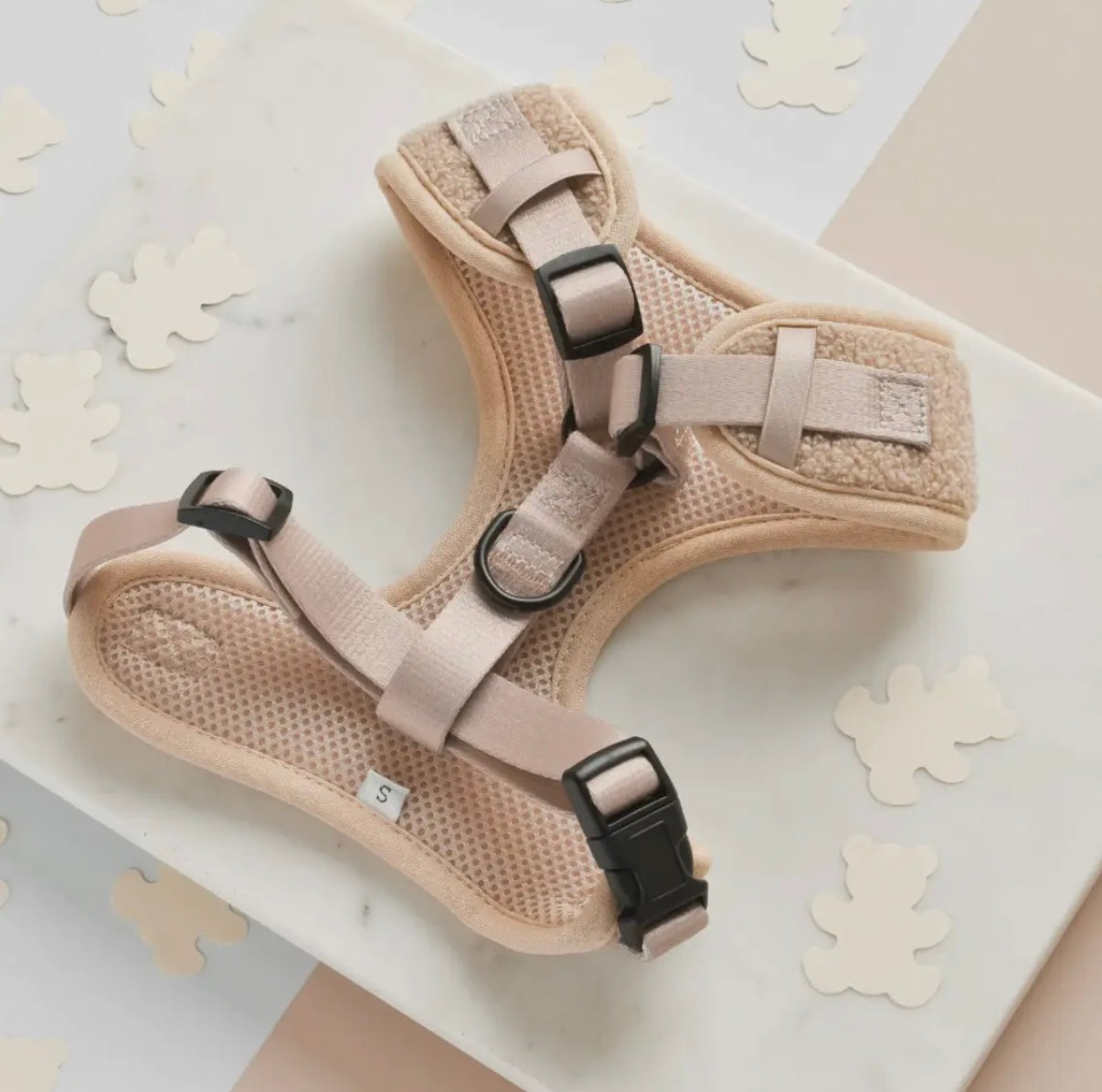 Geschirr-Teddy Rupert