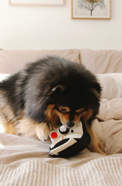 Hundespielzeug Kamera