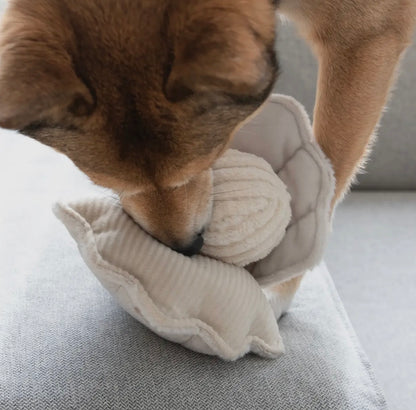 Hundespielzeug Muschel