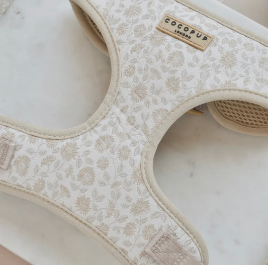 Luxuriöses Geschirr- Gartenwiese