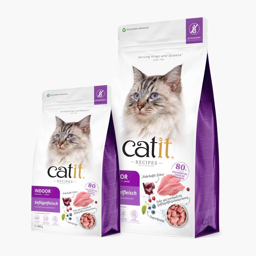 Catit Recipes Adult Indoor