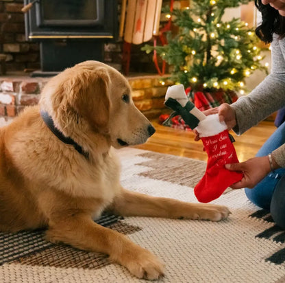 Hundespielzeug Weihnachtsstrumpf