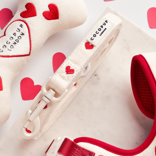 Leine-umarmungen gestricktes Herz