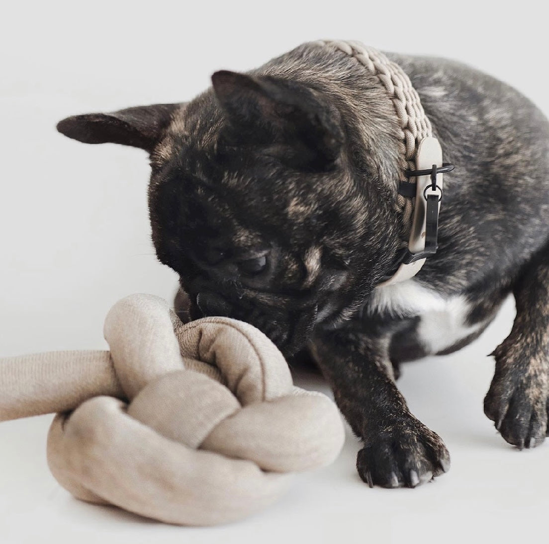 Hundespielzeug Knoten