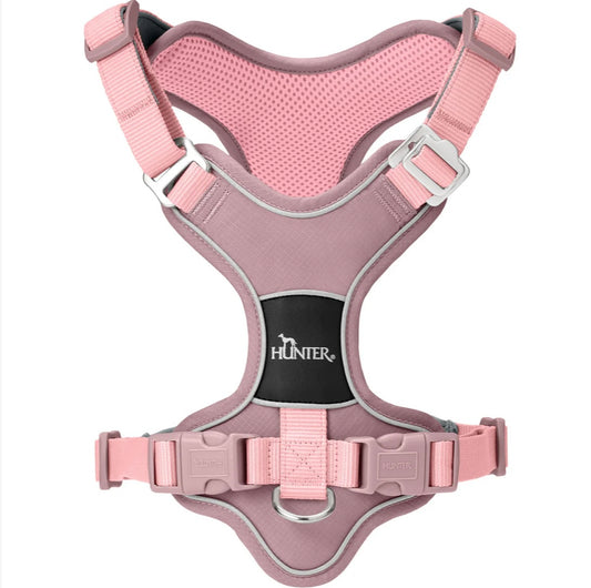 Geschirr Divo Up, altrosa