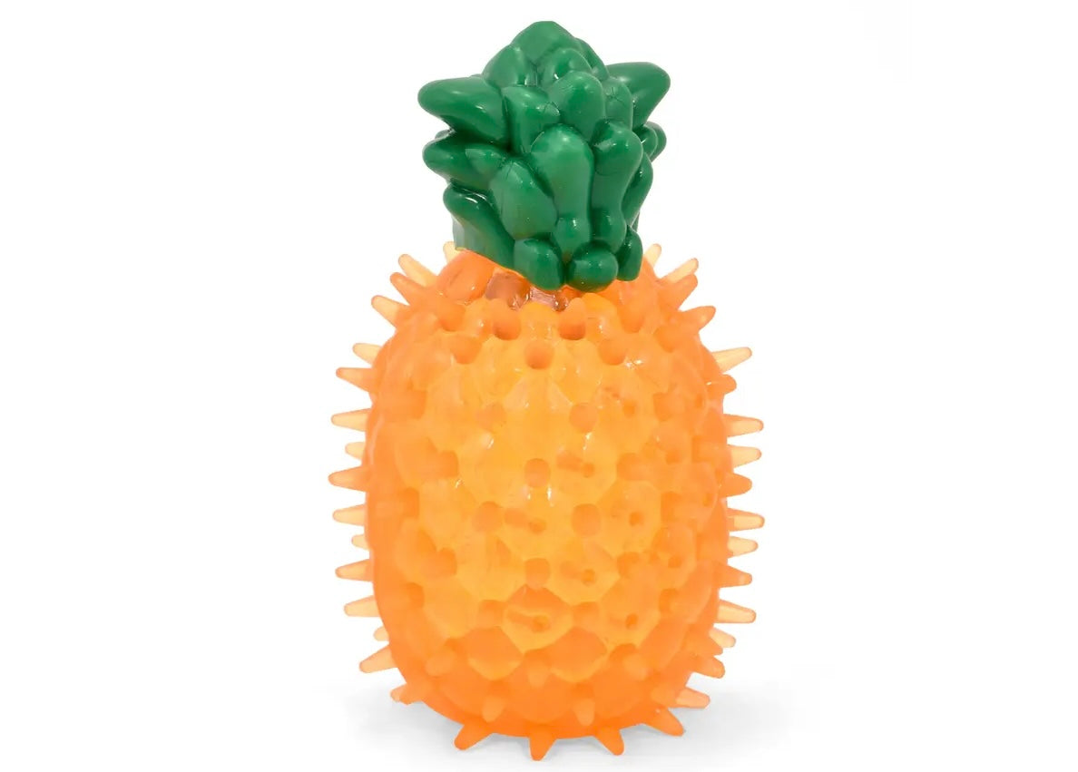 Ice Eis & Fruit Hundespielzeug