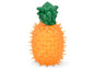 Ice Eis & Fruit Hundespielzeug