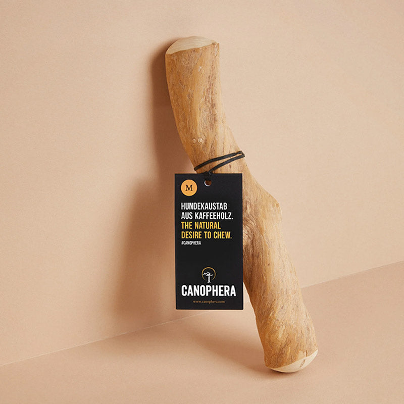 Hundekaustab aus Kaffeeholz