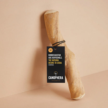 Hundekaustab aus Kaffeeholz