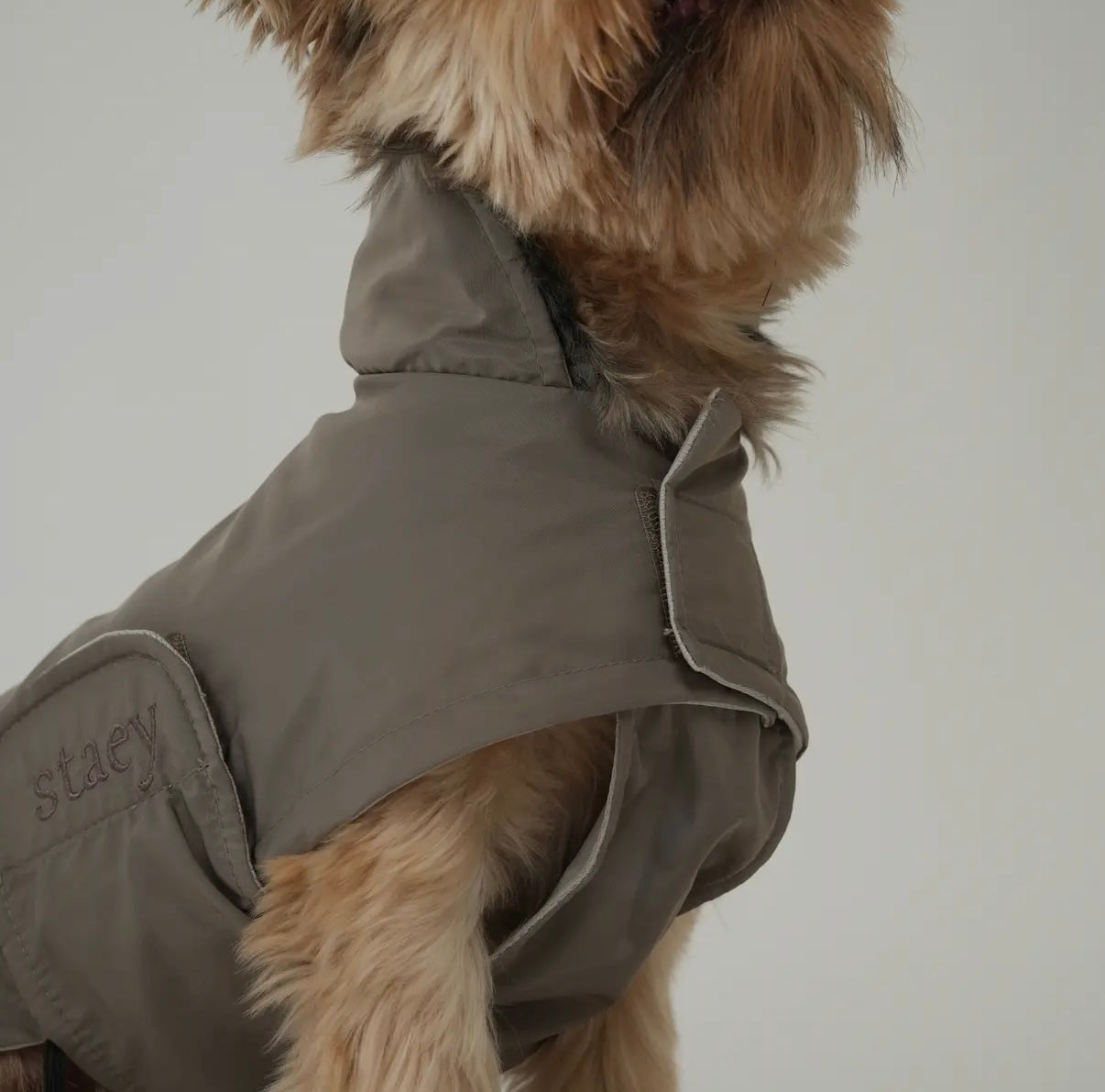 Hunderegenmantel Vega | Taupe