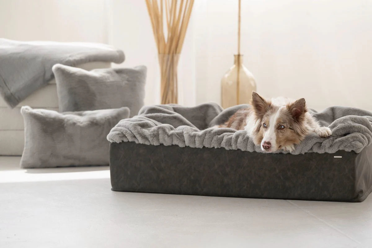 Hundebett Buddelbox - Grau