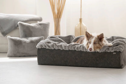 Hundebett Buddelbox - Grau