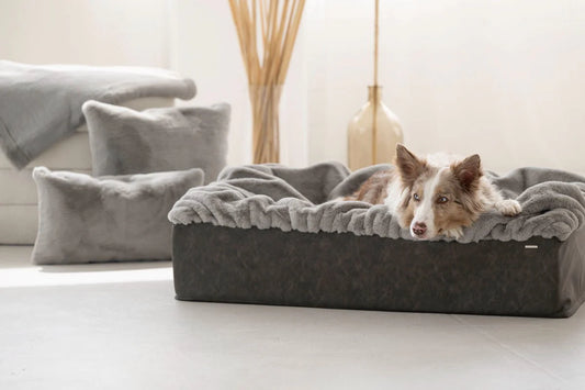 Hundebett Buddelbox - Grau